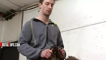 Session 145 Brutal Pony Training