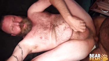 BEARFILMS Burly Bear Canadad Raw Fucked By Marc Angelo