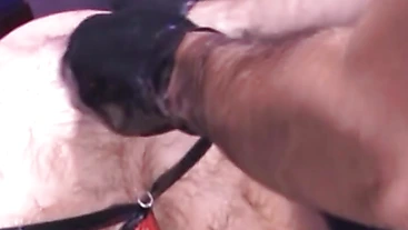 David has a massive uncut cock for Nicolas to worship. Nicolas licks up and down David's leather jock, making the cock grow large.