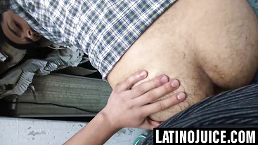 Hairy Latino stud bred and glazed for dinero