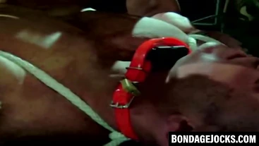 Handsome jock dominated after sweaty gym bondage session