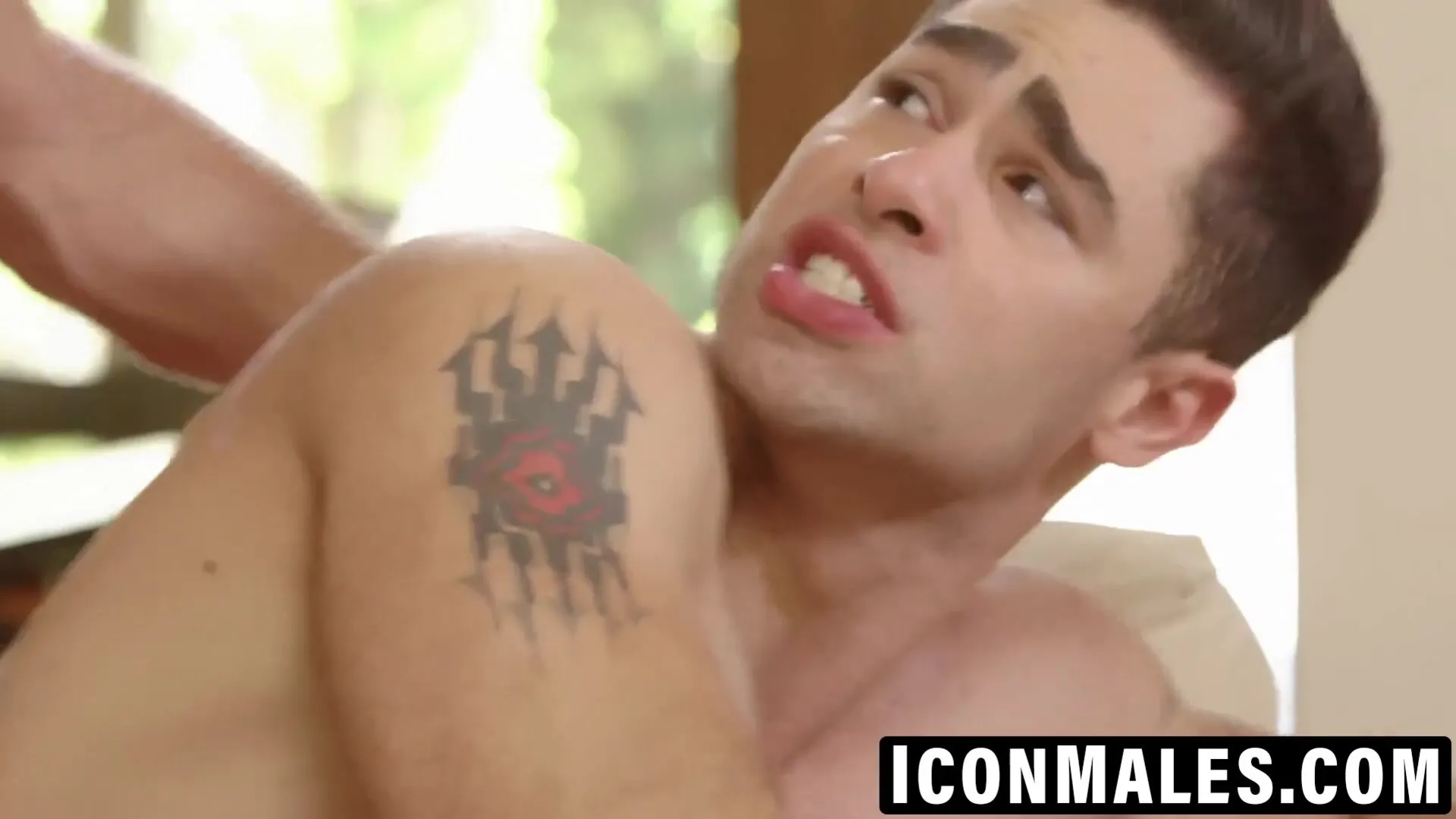 Young Lucas Leon moans taking thick dick in round ass