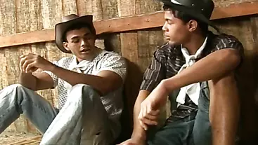 Beefy Cowboys ass fuck in a barn.