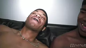 Seduction & Everlastin