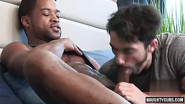 Big dick gay anal sex and facial